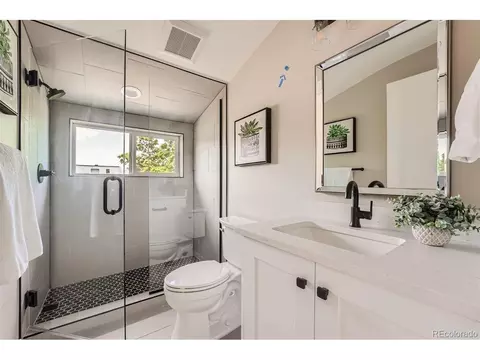 3918 N Mariposa, Denver, CO 80211 photo 18