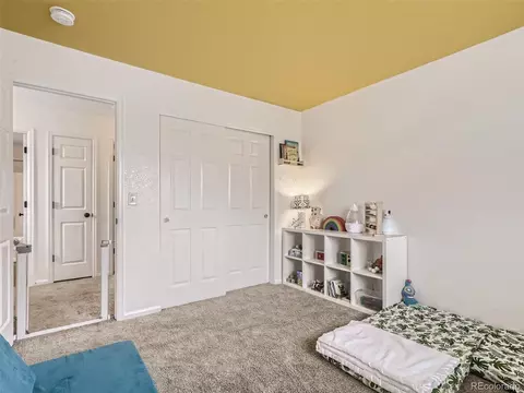 20923 E 40th Pl, Denver, CO 80249 photo 24