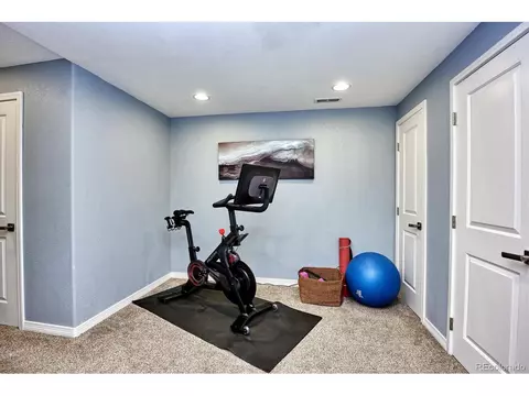 10983 E 28th Pl, Denver, CO 80238 photo 28