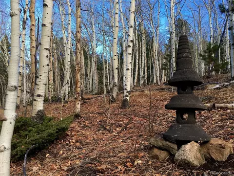 1 Alps Hill Rd, Central City, CO 80427