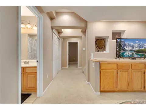 4175 Jericho St, Denver, CO 80249 photo 26