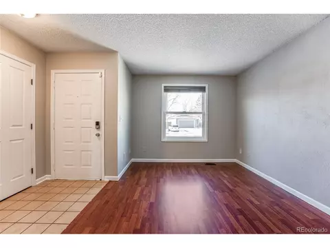 4740 S Tabor St, Morrison, CO 80465 photo 11