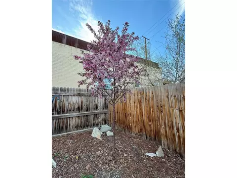 Undisclosed, Denver, CO 80223 photo 48