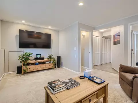 19532 E Buchanan Pl, Aurora, CO 80011 photo 22