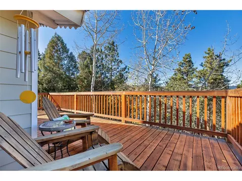 149 Iris Dr, Bailey, CO 80421 photo 24