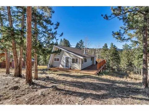 149 Iris Dr, Bailey, CO 80421 photo 31