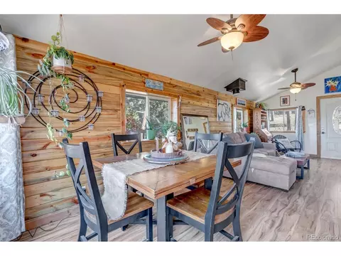 149 Iris Dr, Bailey, CO 80421 photo 15