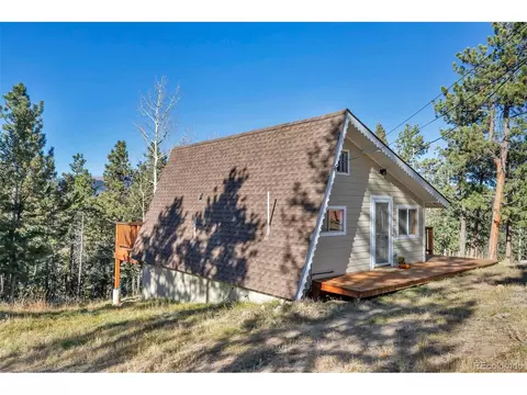 149 Iris Dr, Bailey, CO 80421 photo 3