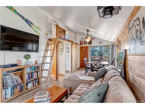 149 Iris Dr, Bailey, CO 80421 photo 10