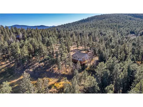 149 Iris Dr, Bailey, CO 80421 photo 7