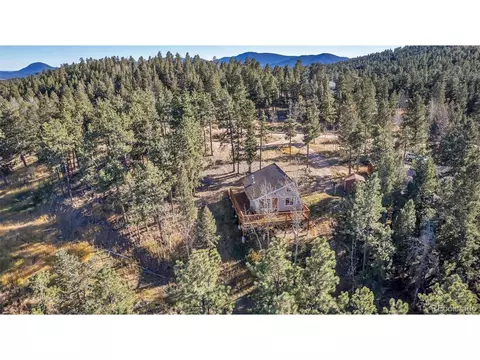 149 Iris Dr, Bailey, CO 80421 photo 30