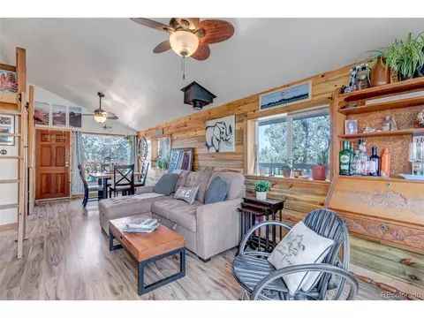 149 Iris Dr, Bailey, CO 80421 photo 8