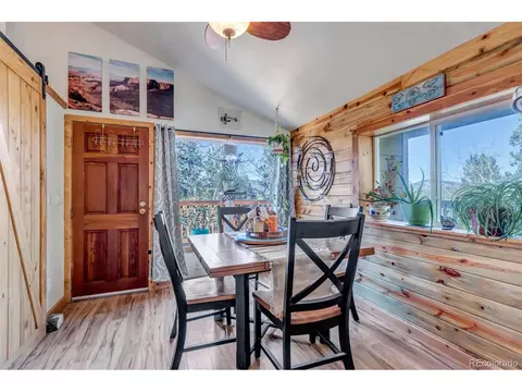 149 Iris Dr, Bailey, CO 80421 photo 14