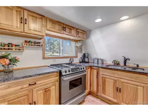 149 Iris Dr, Bailey, CO 80421 photo 11