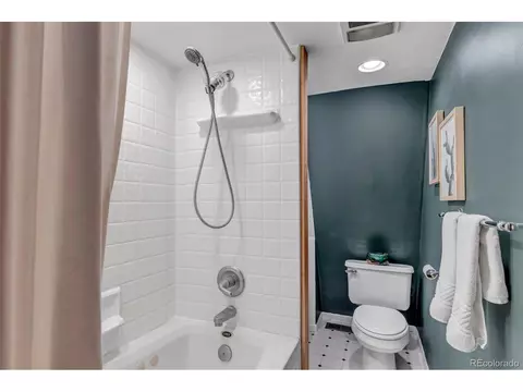 149 Iris Dr, Bailey, CO 80421 photo 18