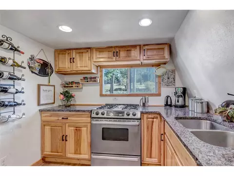 149 Iris Dr, Bailey, CO 80421 photo 12