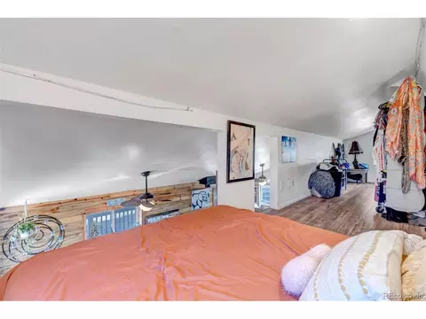 149 Iris Dr, Bailey, CO 80421 photo 21