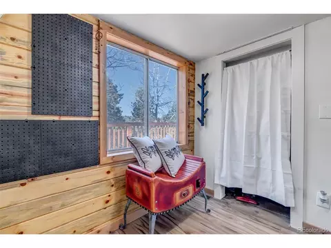 149 Iris Dr, Bailey, CO 80421 photo 17