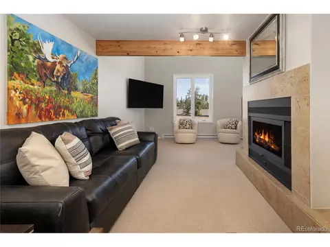 821 Wolverine # D, Fraser, CO 80442 photo 1