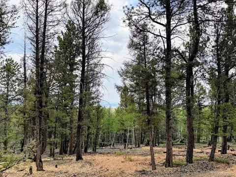 1789 Bellows Rd, Hartsel, CO 80449