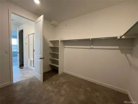 2992 E 161st Pl, Thornton, CO 80602 photo 17