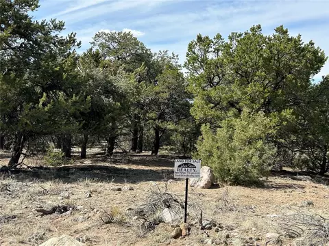3545 Fallen Tree Pl, Crestone, CO 81131 photo 5