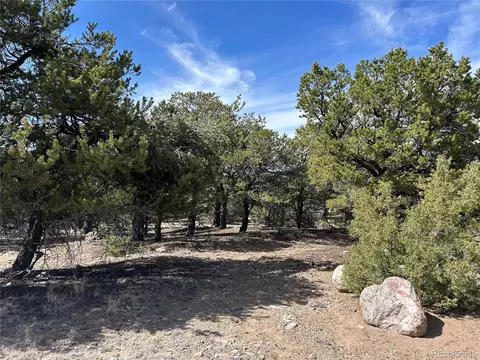 3545 Fallen Tree Pl, Crestone, CO 81131 photo 3