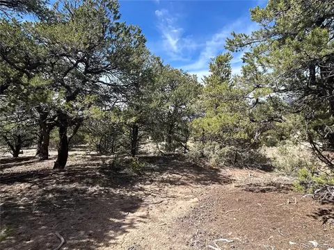 3545 Fallen Tree Pl, Crestone, CO 81131 photo 4