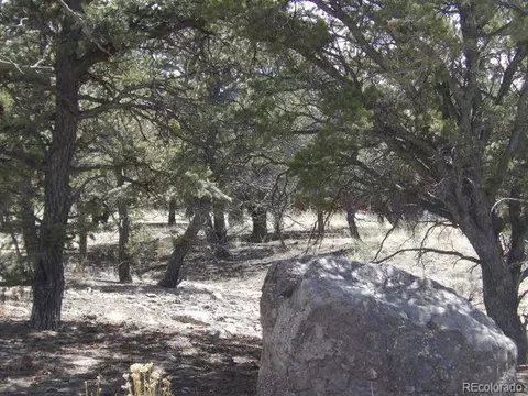 255 Baca Grant Way, Crestone, CO 81131 photo 4
