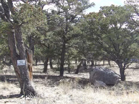255 Baca Grant Way, Crestone, CO 81131 photo 3