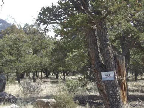 255 Baca Grant Way, Crestone, CO 81131 photo 2