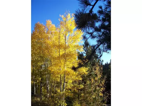 Undisclosed, Bailey, CO 80421 photo 14