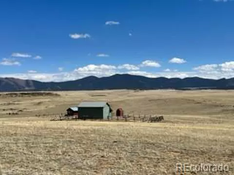 585 Mockingbird Cir, Hartsel, CO 80449