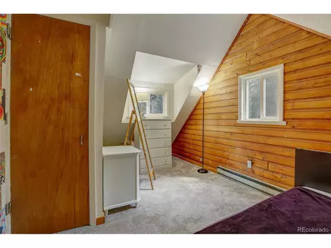 9021 Rex Ln, Conifer, CO 80433 photo 18