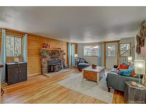 9021 Rex Ln, Conifer, CO 80433 photo 9