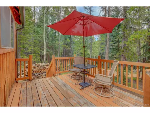 9021 Rex Ln, Conifer, CO 80433 photo 7
