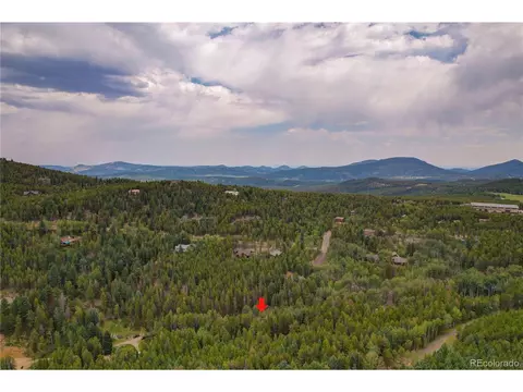9021 Rex Ln, Conifer, CO 80433 photo 33