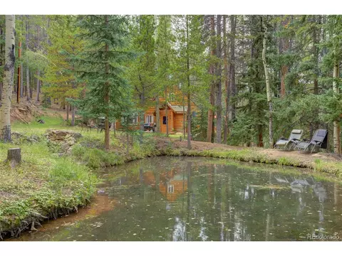 9021 Rex Ln, Conifer, CO 80433 photo 3