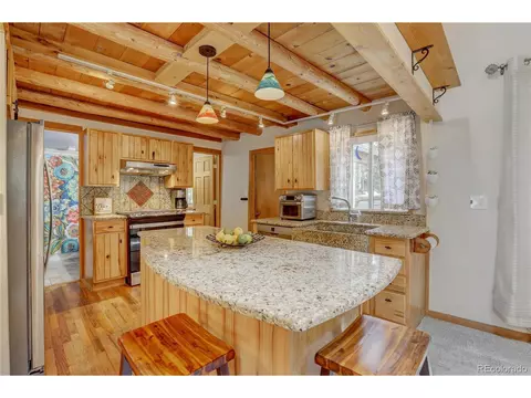 9021 Rex Ln, Conifer, CO 80433 photo 4