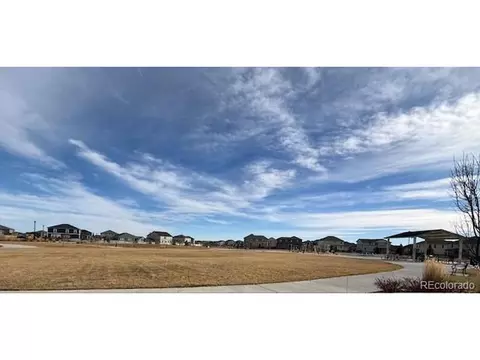 8104 E 132nd Pl, Thornton, CO 80602 photo 45