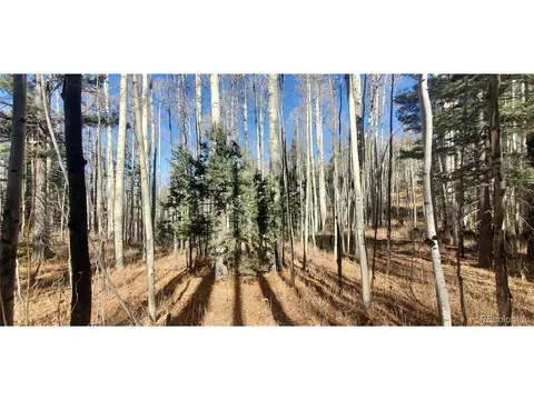 6060 Forbes Rd, San Luis, CO 81152