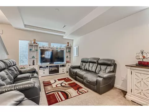 20009 Elgin Dr, Denver, CO 80249 photo 6