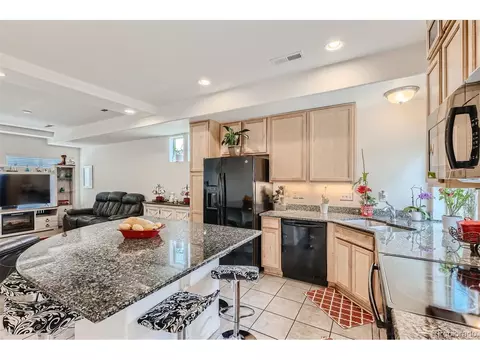 20009 Elgin Dr, Denver, CO 80249 photo 10