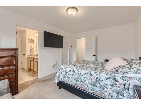 20009 Elgin Dr, Denver, CO 80249 photo 14