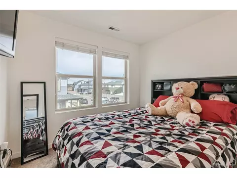 20009 Elgin Dr, Denver, CO 80249 photo 17