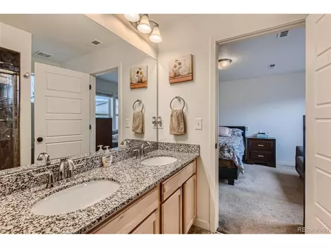 20009 Elgin Dr, Denver, CO 80249 photo 15