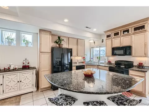 20009 Elgin Dr, Denver, CO 80249 photo 9