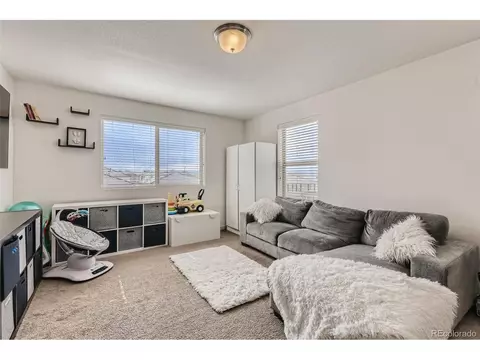 20009 Elgin Dr, Denver, CO 80249 photo 23