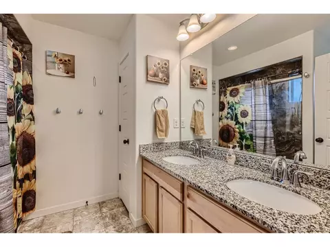 20009 Elgin Dr, Denver, CO 80249 photo 16