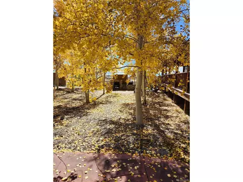 80 Sunshine Loop, Fairplay, CO 80440 photo 21